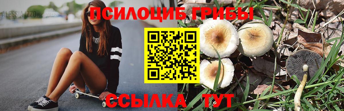Псилоцибиновые грибы мухоморы  Вход с VPN  Россия 