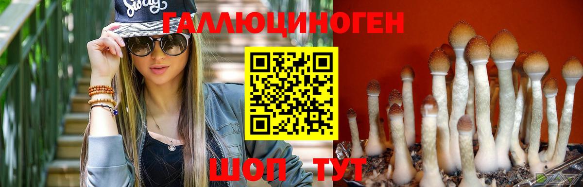 Галлюциногенные грибы мицелий Россия